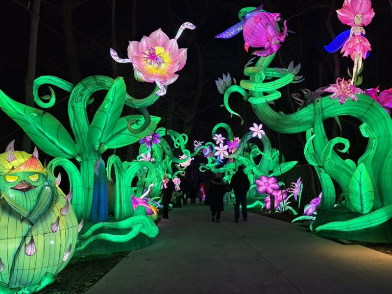John Ball Zoo Lantern Festival: Your Complete Guide